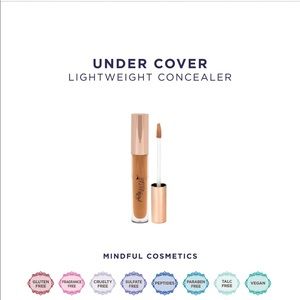 NEW Pretty Vulgar concealer (63 the middle ground)